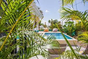 Iguane House villas & Micro Spa Villa Passion piscine