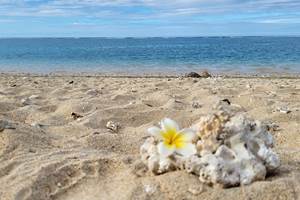 Locations de vacances à la Réunion