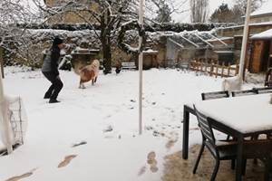 Le jardin