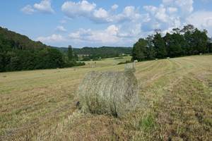 Domaine du champ de l'Hoste - Les prés - Dordogne -