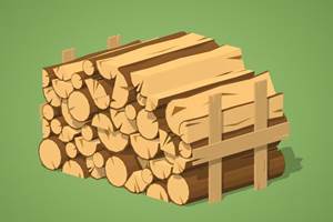 Bois de chauffage pour le poêle à bois