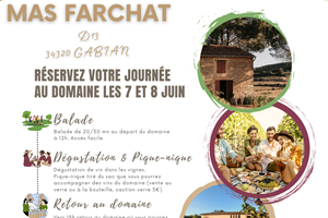 Pique nique au Mas Farchat