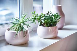 zeyssolff-gites-restau_3024