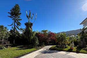jardin.