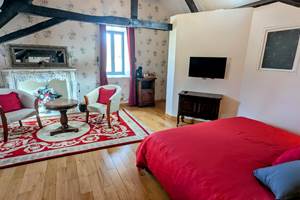 Chateau Roquehort Monein - Cambres d'hotes Monein (17)