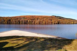 IMG_20211112_140641730_HDR