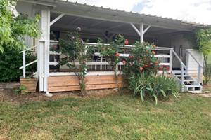 Mobil-home Chat avec sanitaires