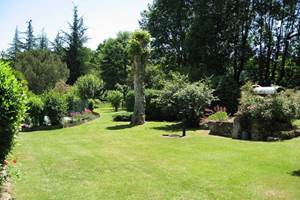 Le jardin en été