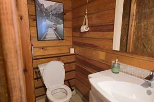 Salle de bain avec WC et douche