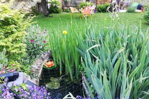 Jardin