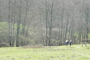Plaine de jeux de 4 hectares - prairie - bois - étang