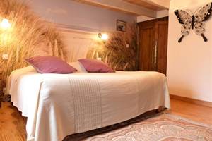 Demeure des tilleuls  chambre papillon