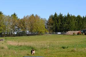Cabane du Cerf, vue du parc de la terrasse