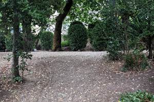 Le Jardin