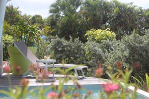 Iguane House villas & Micro Spa Villa Lagon terrasse jardin