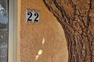 2024-10 chambre 22