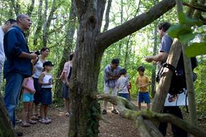 Reprenez contact avec la nature - O. Arsandaux - Lot Tourisme PnrCQ