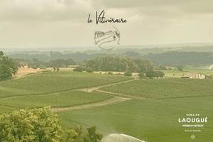 Elloha - le Vitinéraire balade thématique Domaine Laougué