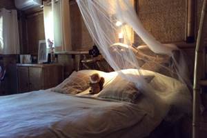 Les_jardins_de_valaurie_suite_bignone_chambre_841