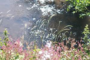 2f974ff7-52ab-46ca-ac19-2dcc9f399c54