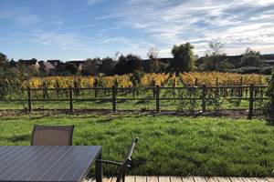 vue sur le vignoble alsacien depuis la terrasse privative