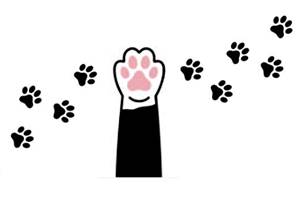 empreinte chat chien