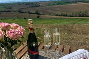 champagne vue pyrenees