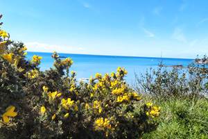 La mer à perte de vue