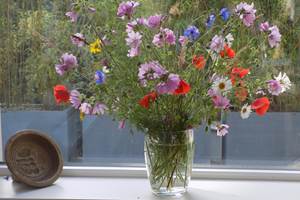 Les-Tilleuls-Bed-Breakfast-a-Vielsalm-Haute-Ardenne-interieur