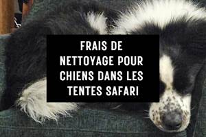Supplément pour chien pour tentes de safari