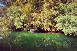 les couleurs sont superbes