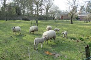 les voisins