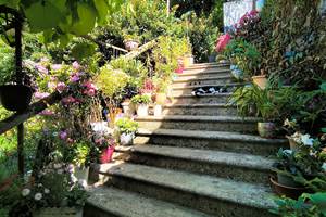 L'escalier de la salle de massage