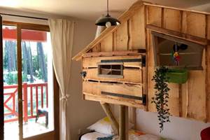 cabane