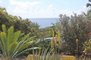 Iguane House villas & Micro Spa Villa Mangrove vue mer