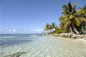 plage-sainte-anne-guadeloupe