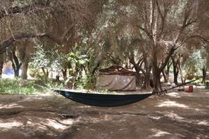 Bivouac sous les palmiers bleus - Repos  tentes berbères ou hamacs