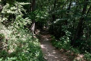 Chemin de promenade