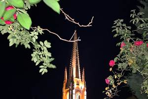 JAZZY-vue-sur-église