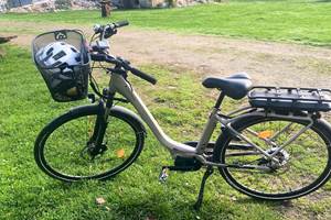 Ebike