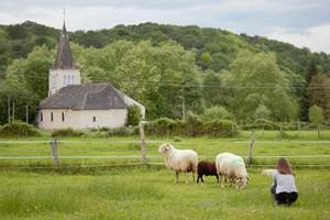 mini-ferme à la campagne