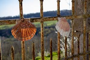 210328174821 Coquille sur le chemin de St Jacques - Faycelles Lot Tourisme- C. Asquier