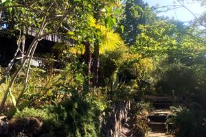 Le Jardin