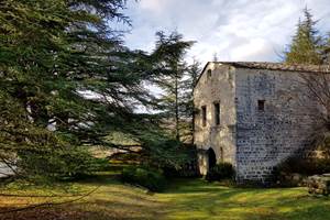 Sur le terrain le Cellier de l'Abbaye de Lure du XIIe siécle