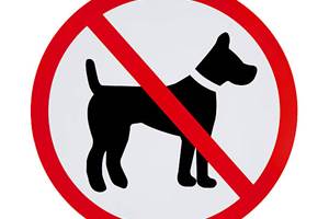 Château interdit aux chiens