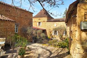 La cour