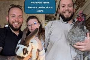 mini-ferve-avec-poules-et-lapins