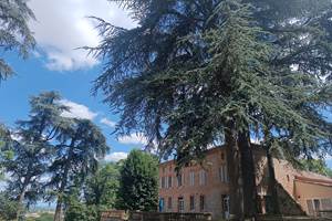 hebergement-touristique-tarn