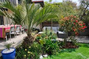Jardin 6
