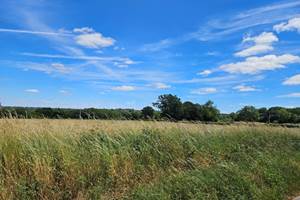 Le Quai d'Neuf — Gîte de groupe en Creuse (15 personnes) - vue sur les champs